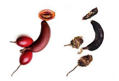 腐烂的水果还能吃吗?