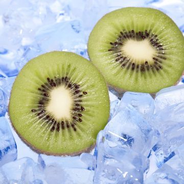 猕猴桃可以放在冰箱保鲜吗