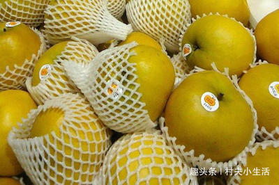 水果网套再也不扔了,放在卫生间一年省不少钱,我是才发现