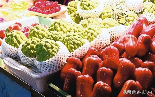 暂停进口台湾水果 生鲜等农产品,那农民可咋办 网友 自己吃