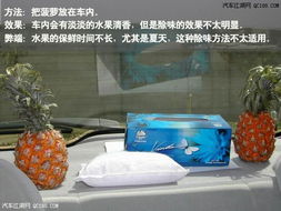 详细介绍新车除味几种diy简妙生活用法