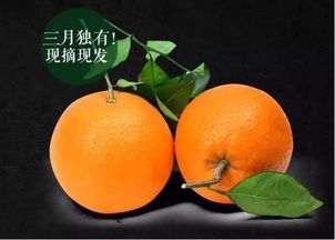 比三生三世里,更动听的情话莫过于 亲爱的,我最心爱的清江伦晚,送给你 长阳热点资讯