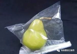 包装成本高 运输损耗大 做果蔬生意,你该知道这些...