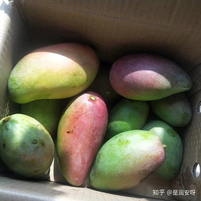 现在的大学生们吃得起水果吗?