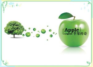 眼部去皱的方法 这些方法你都试过了么