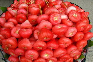 泰国旅行不吃这些水果就白去了