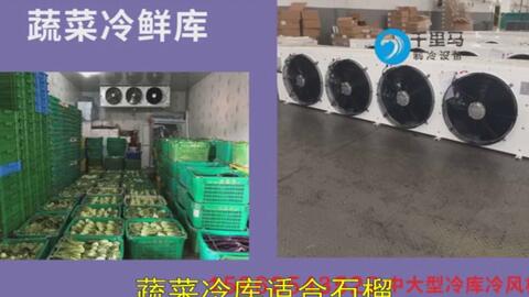 冰山楂实拍,从加工厂冷库到店头商家的样子,酸甜可口,冰爽宜人。