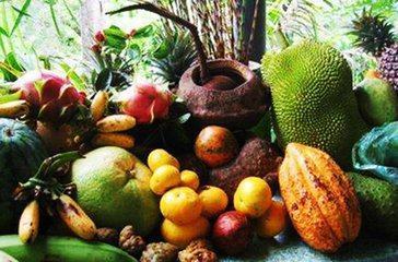 热带水果是不能放进冰箱的哦,一定注意!