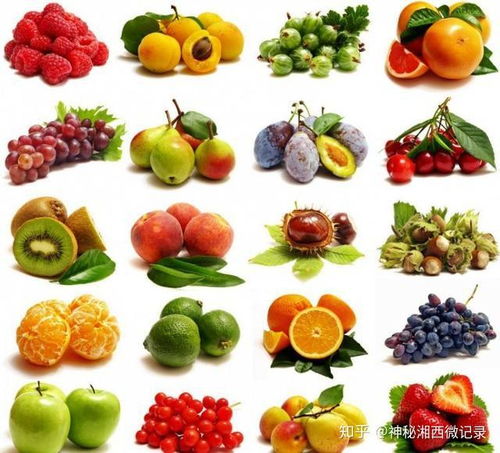 吉首辰兴制冷入驻华申国际商贸城 为商户水果保鲜提供冷库服务