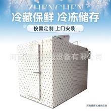 河南大棚蔬菜基地