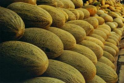 哈密瓜保鲜冷库贮藏技术及成本分析