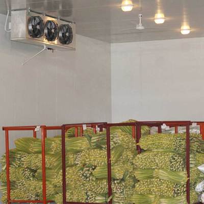 保鲜冷库解决方案