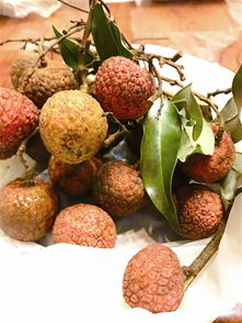 新型保鲜膜可保鲜水果90天