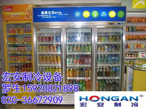 高效保鲜，新鲜持久——宏安制冷食品水果保鲜柜