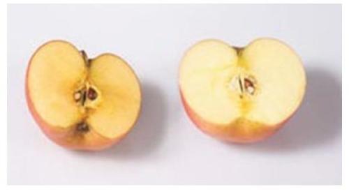 水果氧化的奥秘与保鲜之道