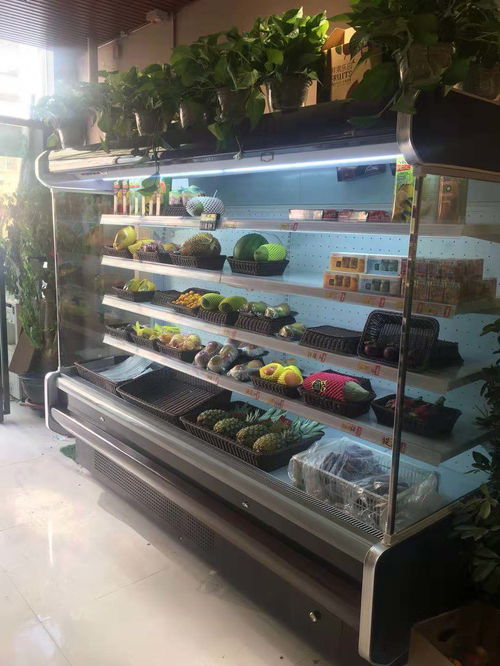 郑州小刘桥 水果保鲜柜喷雾串串柜引领现代生鲜存储新风尚
